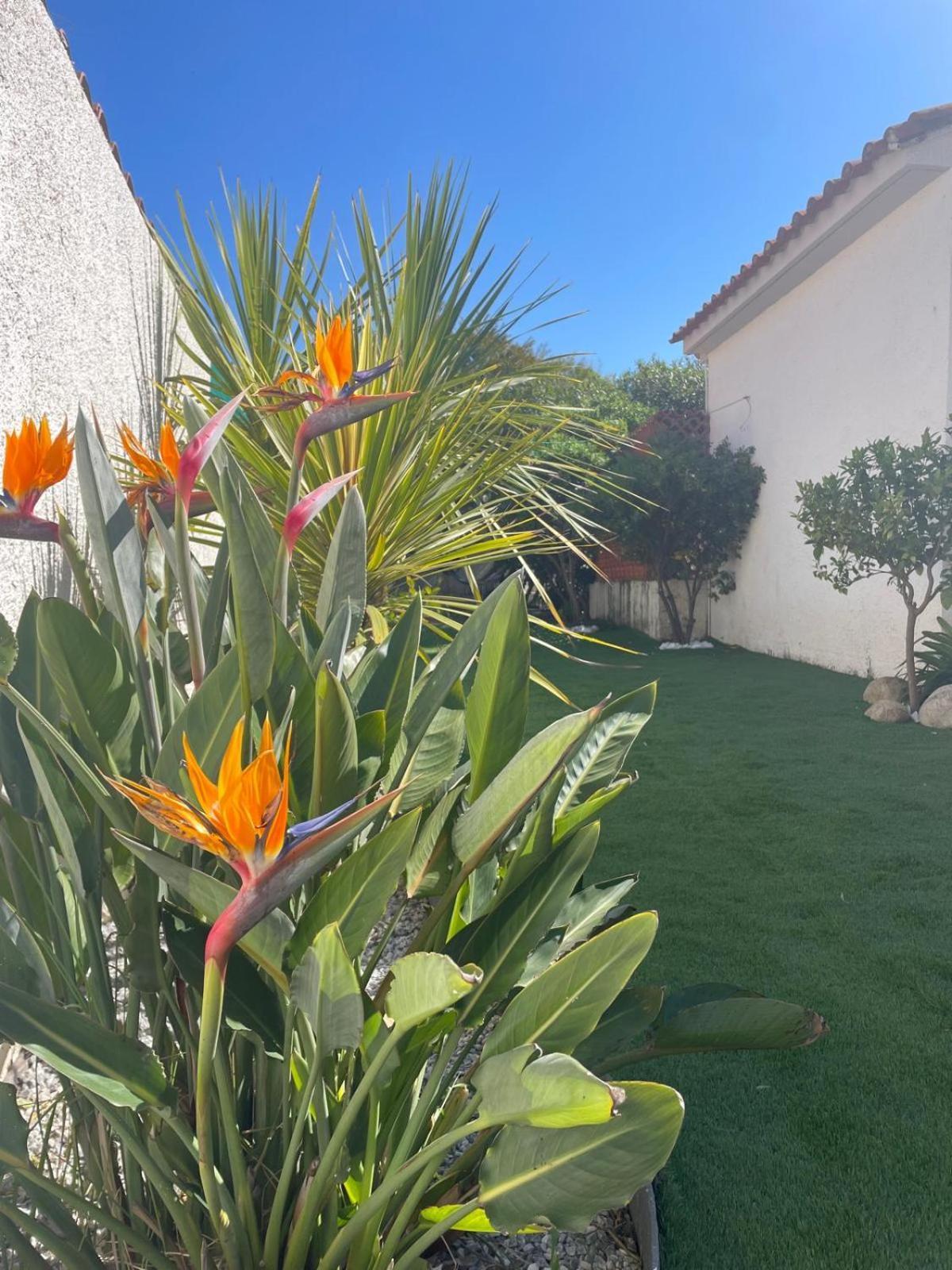 Belle Villa Classee 4 Etoiles Proche Plage Avec Jardin Saint-Cyprien  Luaran gambar